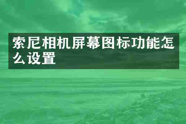 索尼相机屏幕图标功能怎么设置