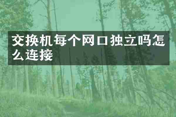 交换机每个网口独立吗怎么连接