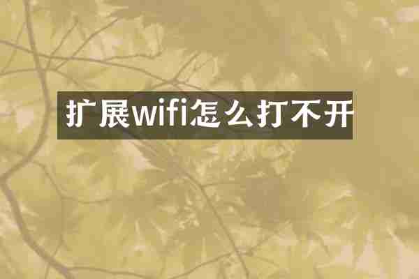 扩展wifi怎么打不开