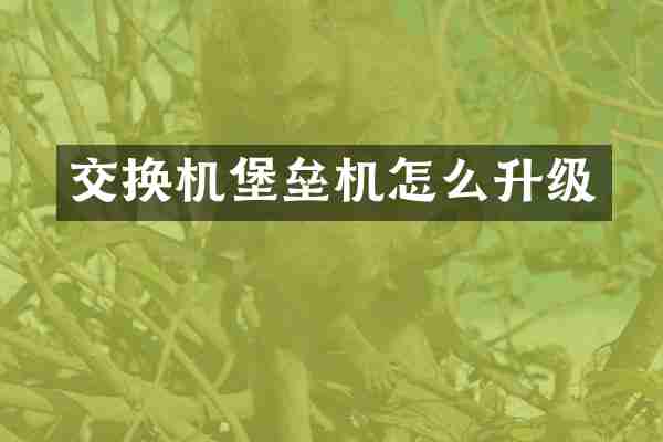 交换机堡垒机怎么升级