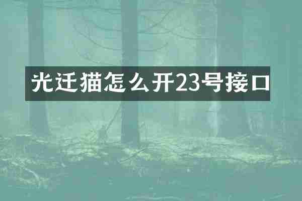 光迁猫怎么开23号接口