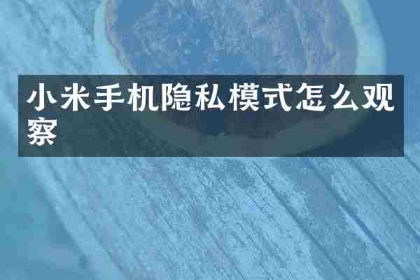 小米手机隐私模式怎么观察