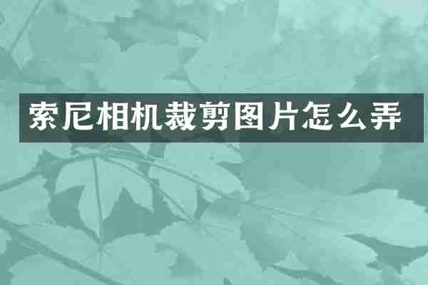 索尼相机裁剪图片怎么弄