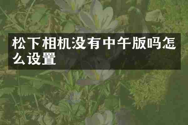 松下相机没有中午版吗怎么设置