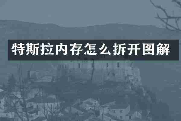 特斯拉内存怎么拆开图解