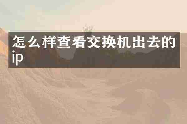 怎么样查看交换机出去的ip