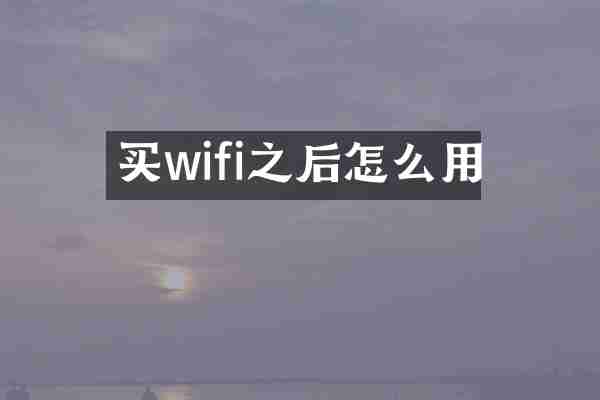 买wifi之后怎么用