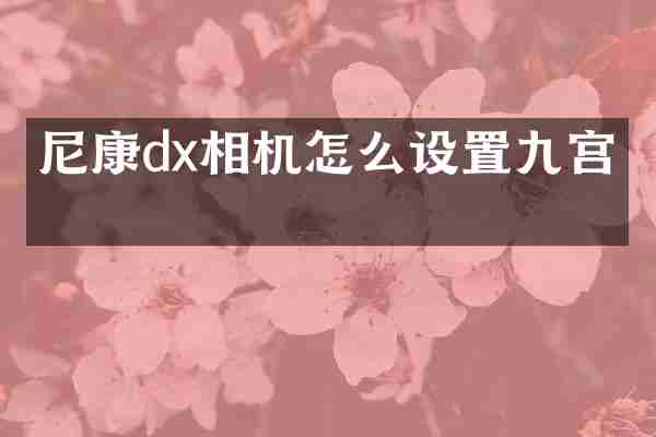 尼康dx相机怎么设置九宫格