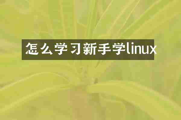怎么学习新手学linux