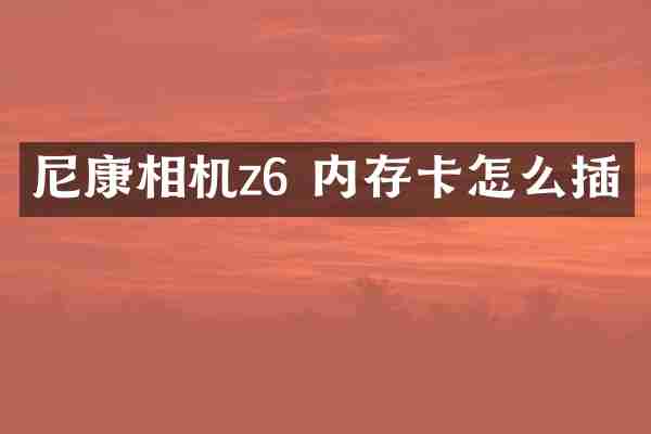 尼康相机z6 内存卡怎么插