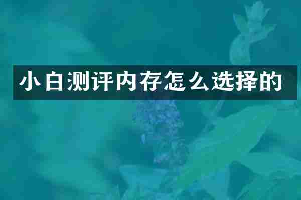 小白测评内存怎么选择的