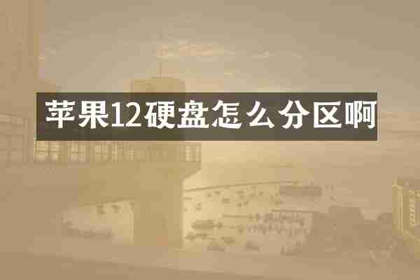 苹果12硬盘怎么分区啊