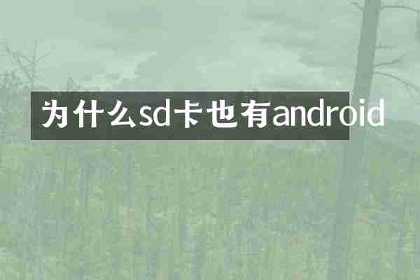 为什么sd卡也有android