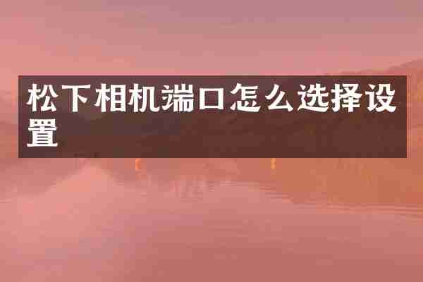 相机端口怎么选择设置