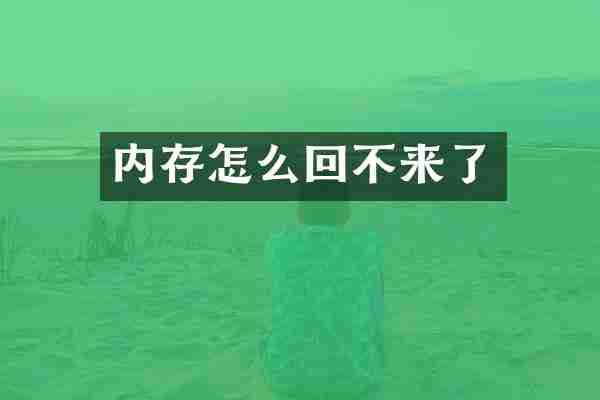 内存怎么回不来了