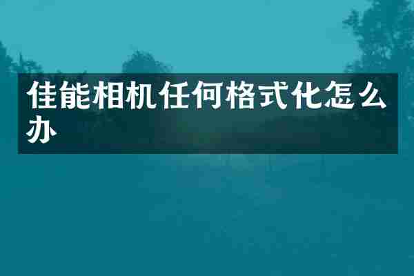 佳能相机任何格式化怎么办