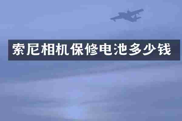 相机保修电池多少钱