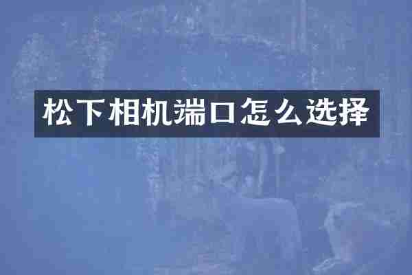 相机端口怎么选择