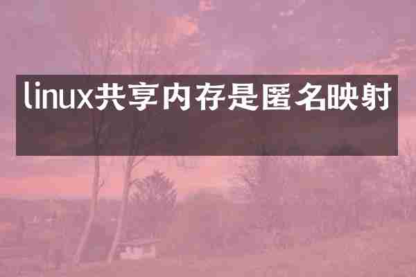 linux共享内存是匿名映射吗