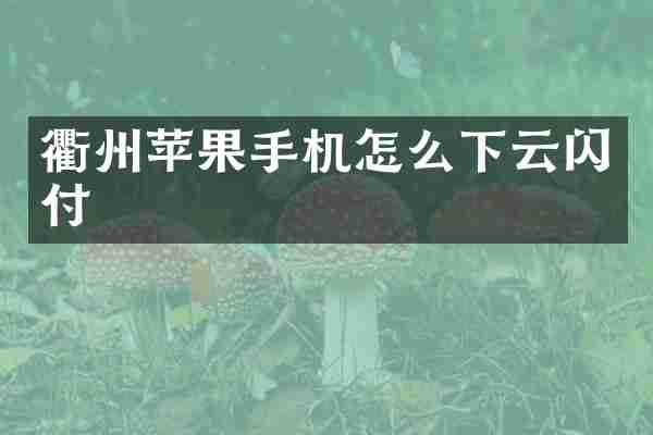 衢州苹果手机怎么下云闪付