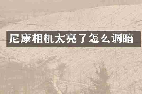 尼康相机太亮了怎么调暗