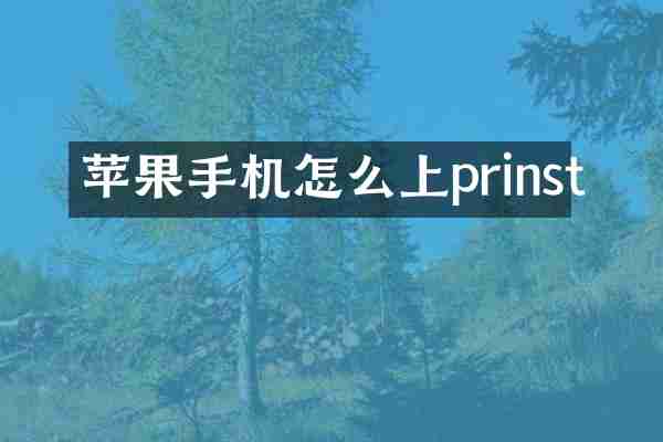 苹果手机怎么上prinst