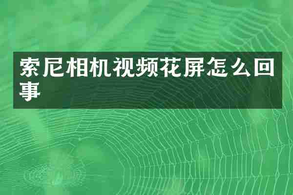相机视频花屏怎么回事
