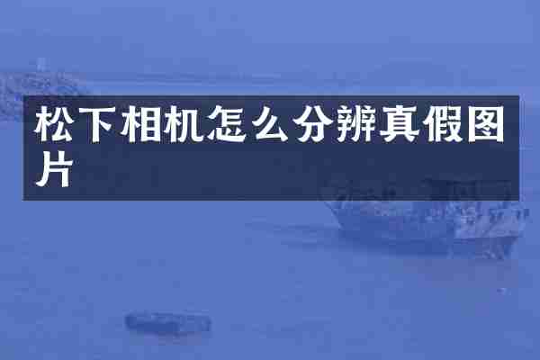 相机怎么分辨真假图片