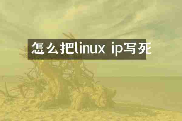 怎么把linux ip写死