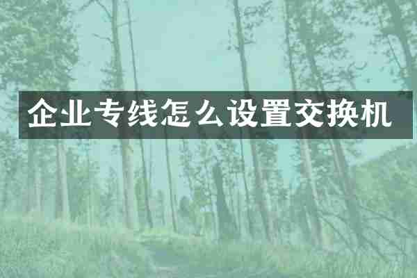 企业专线怎么设置交换机