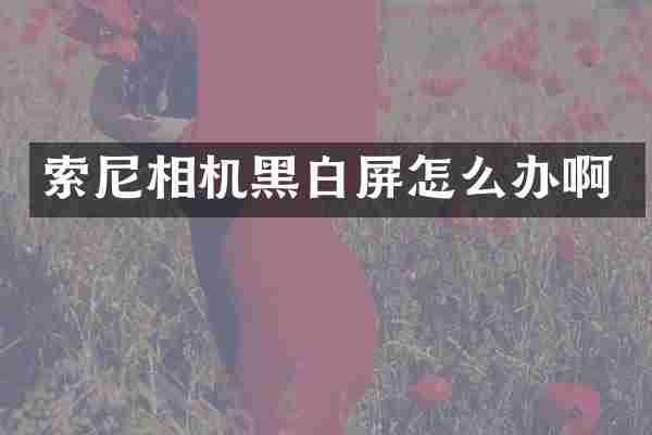 相机黑白屏怎么办啊