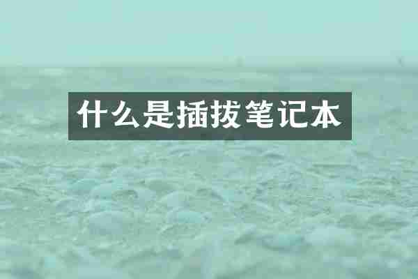 什么是插拔笔记本