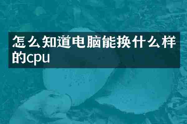 怎么知道电脑能换什么样的cpu