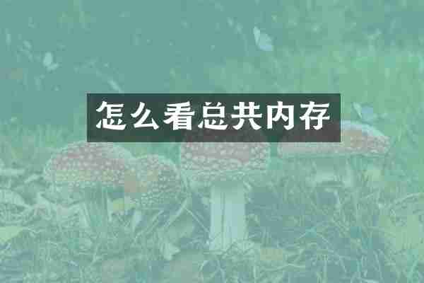 怎么看总共内存