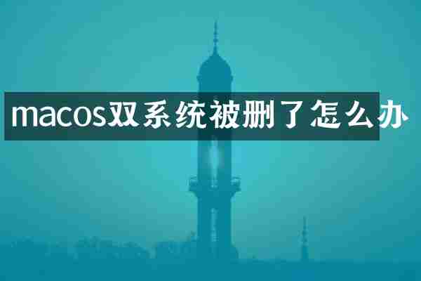macos双系统被删了怎么办
