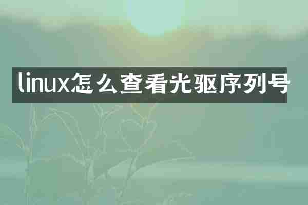 linux怎么查看光驱序列号