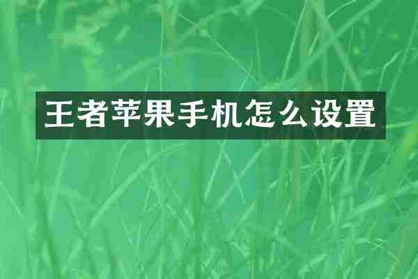 王者苹果手机怎么设置