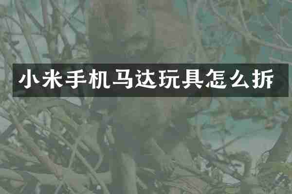小米手机马达玩具怎么拆