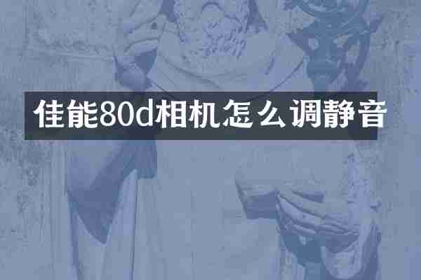 佳能80d相机怎么调静音