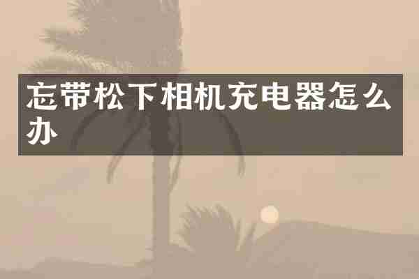 忘带相机充电器怎么办