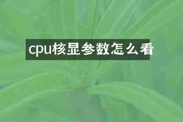 cpu核显参数怎么看