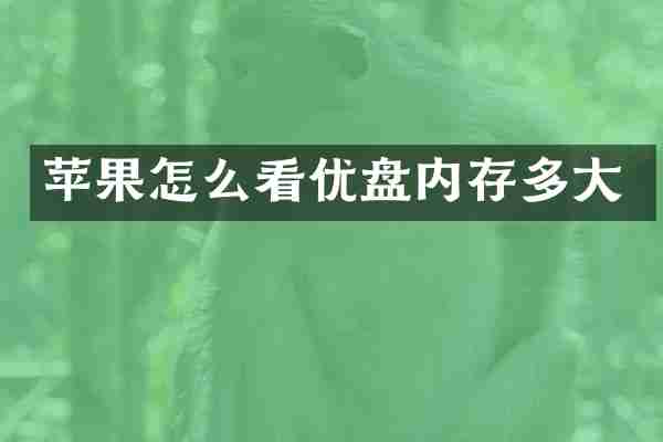 苹果怎么看优盘内存多大