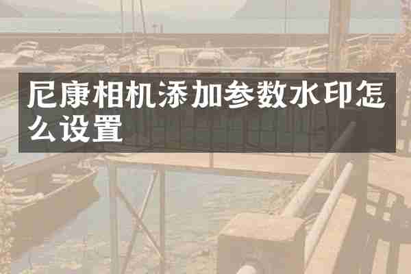 尼康相机添加参数水印怎么设置