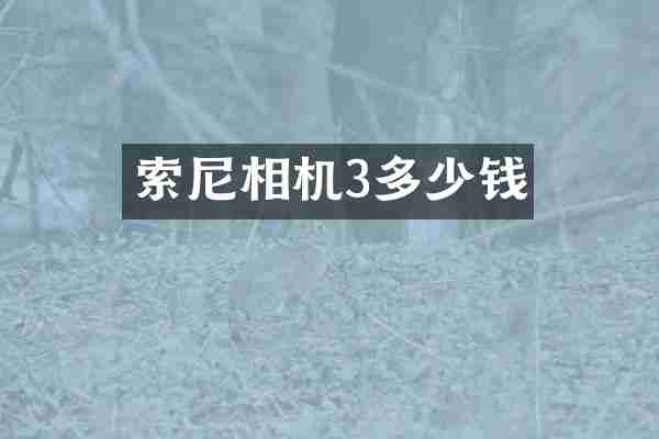 相机3多少钱