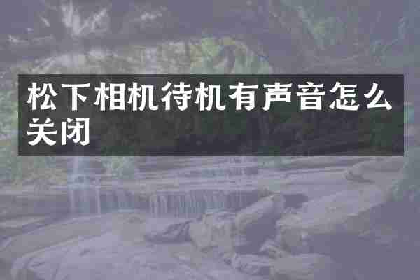 相机待机有声音怎么关闭