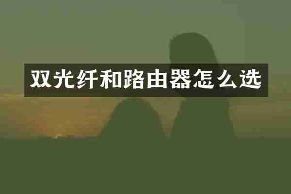 双光纤和路由器怎么选