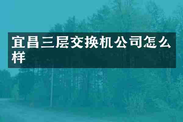 宜昌三层交换机公司怎么样