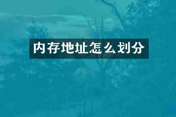 内存地址怎么划分