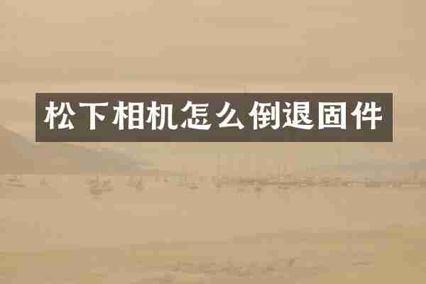 相机怎么倒退固件