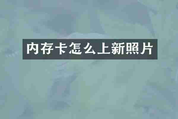 内存卡怎么上新照片